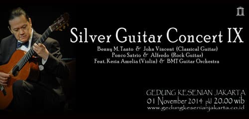 Silver Guitar IX 001 New