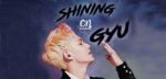 Memperingati HUT Kim Mingyu di Shining On Gyu 1