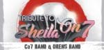 Tribute To Sheila On 7